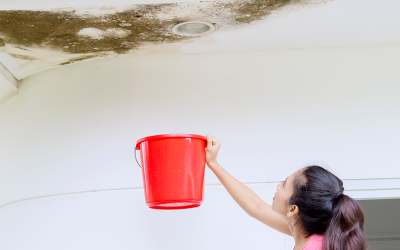 Everything You Need to Know Before Hiring A Waterproofing Contractor