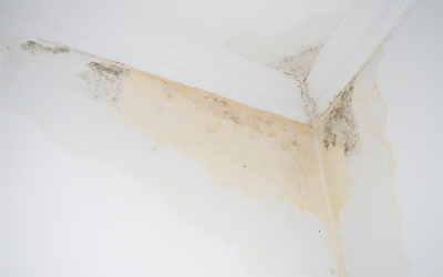 Yellow Ceiling Stains? Resolve These Easily With No Hacking Waterproofing