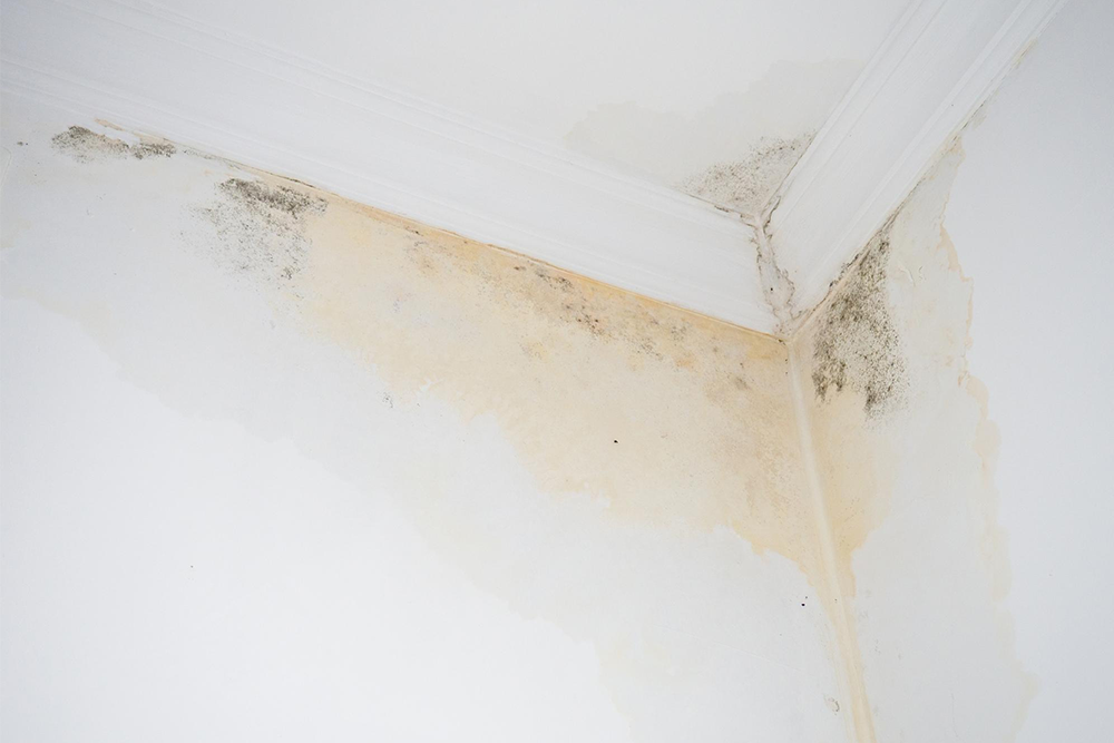Yellow Ceiling Stain Waterproofing