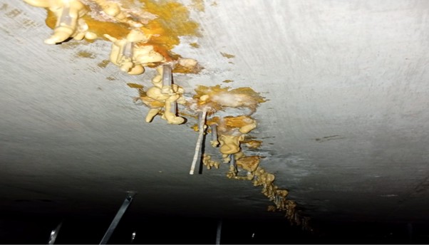 Common Repair Solutions
