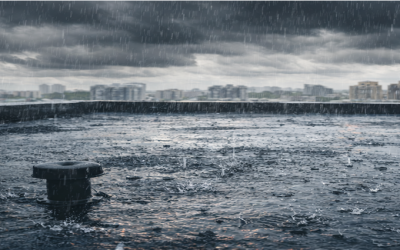 How Long Does Roof Waterproofing Last in Singapore’s Climate?